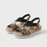 Classic Zebra